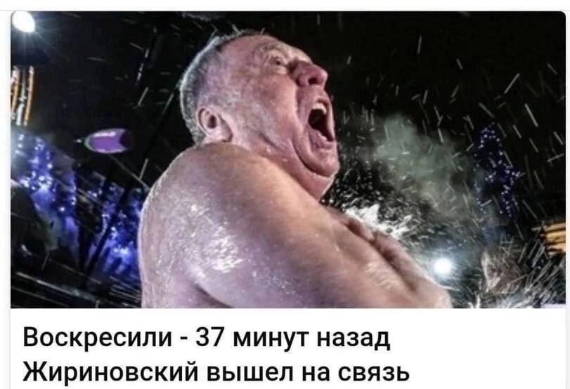 У, Воскресили 37 минут назад Жириновский вышел на связь