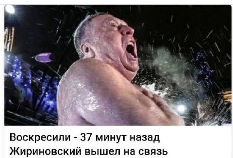 У, Воскресили 37 минут назад Жириновский вышел на связь