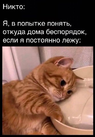 Никто Я. в попытке понять откуда дома беспорядок, если я постоянно лежу: