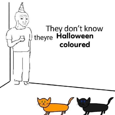 They don’t know theyre Halloween coloured