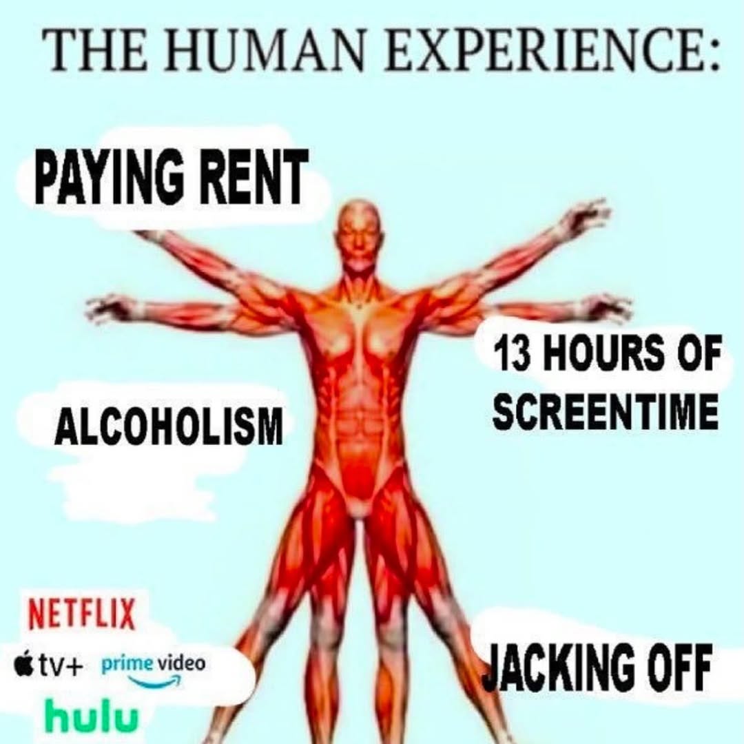THE HUMAN EXPERIENCE: 13 HOURS OF ALCOHOLISM SCREENTIME NETFLIX prime video hulu ACKING OFF