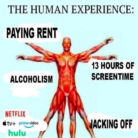 THE HUMAN EXPERIENCE: 13 HOURS OF ALCOHOLISM SCREENTIME NETFLIX prime video hulu ACKING OFF