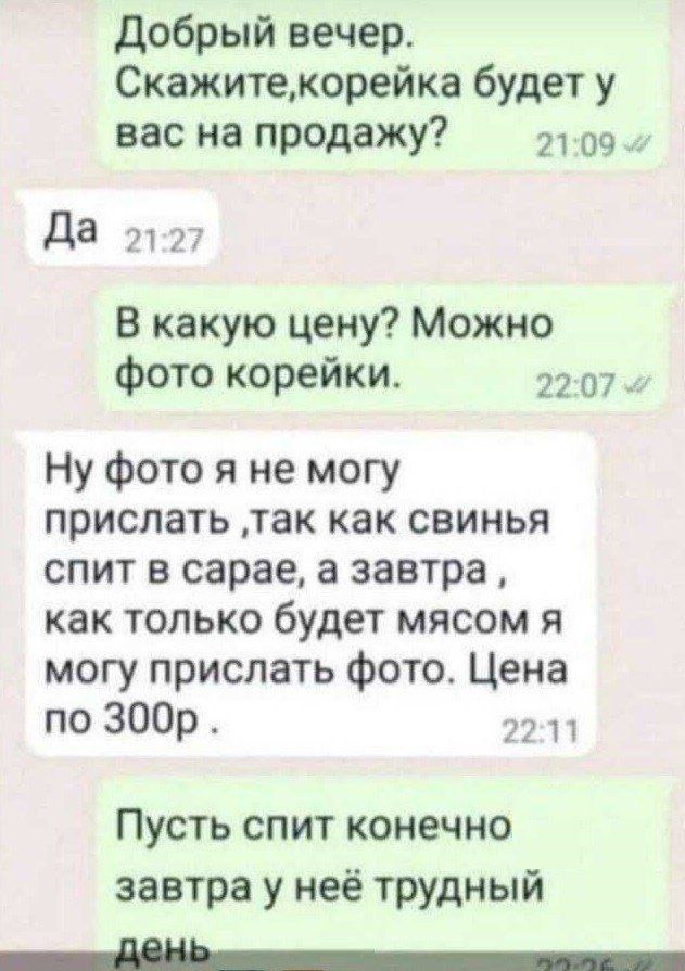 Добрый вечер. будет у вас на продажу? 21:09 Да 21-27 В какую цену? Можно фото корейки. 22-07 фото я He могу прислать ‚так как свинья спит в сарае, а завтра, как только будет мясом я могу прислать фото
