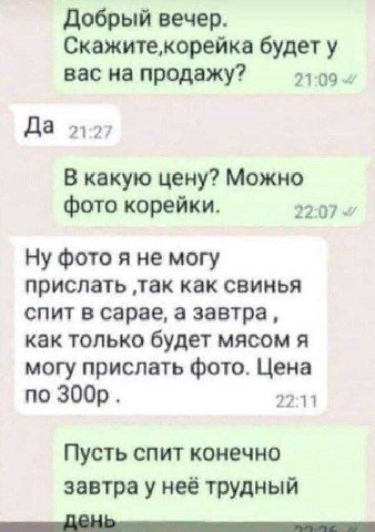 Добрый вечер. будет у вас на продажу? 21:09 Да 21-27 В какую цену? Можно фото корейки. 22-07 фото я He могу прислать ‚так как свинья спит в сарае, а завтра, как только будет мясом я могу прислать фото
