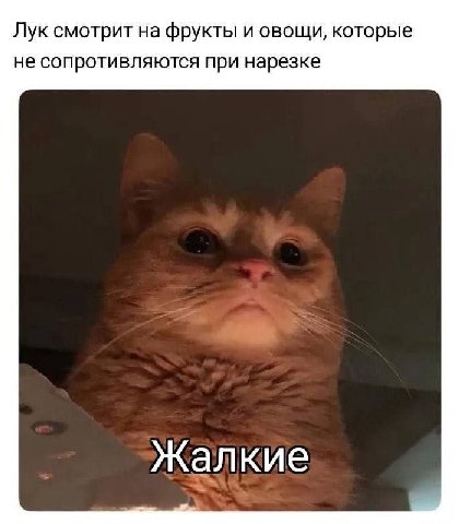 Лук смотрит на фрукты и овощи, которые не сопротивляются при нарезке Жалкие