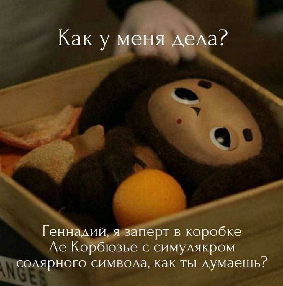 Как у меня дела? Геннадий, я заперт в коробке Корбюзье с симулякром солярного символа, как ты думаешь?