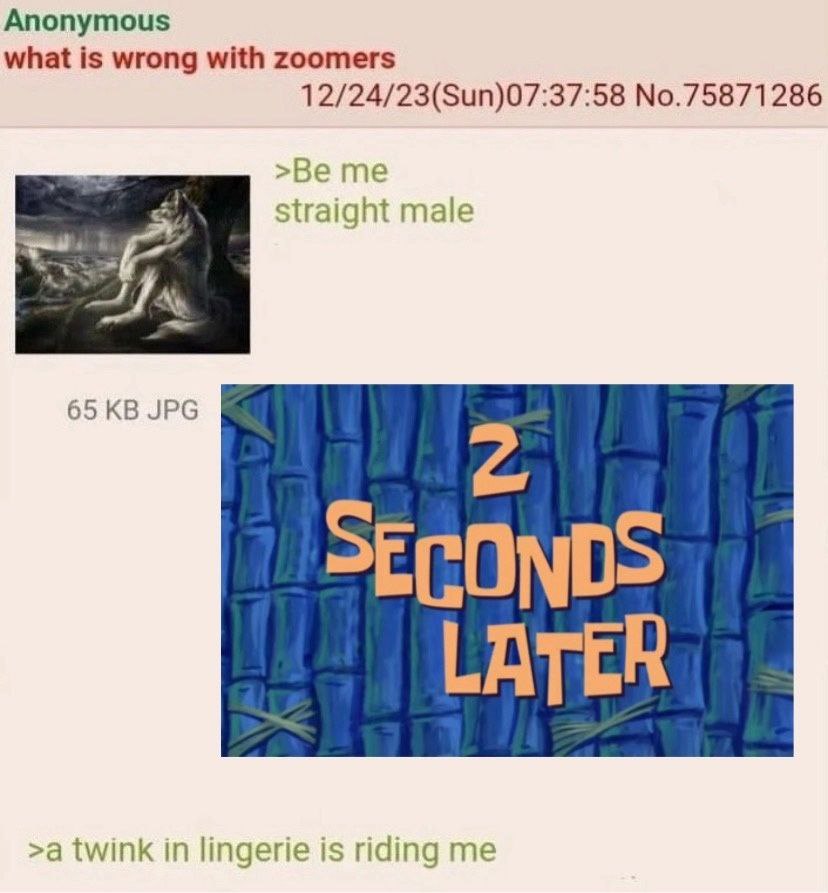 Anonymous what is wrong with zoomers 12/24/23(Sun)07:37:58 No.75871286 >Be me Straight male 65 JPG SECONDS LATER >a twink in lingerie is riding me