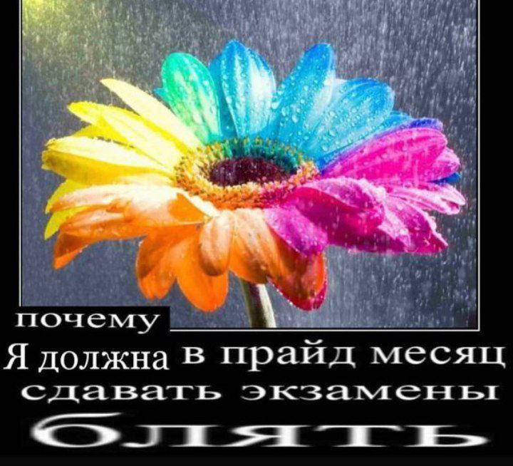 i if а 3 почему Я должна в праид месяц сдавать <»ти-и