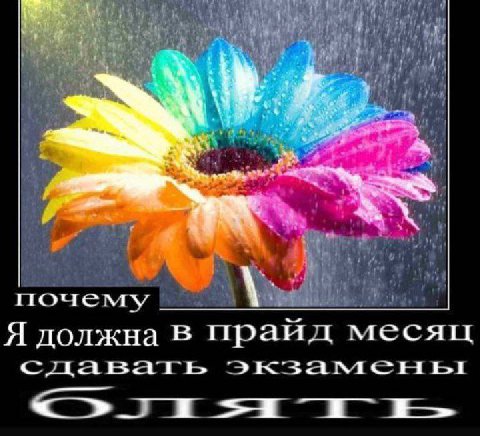 i if а 3 почему Я должна в праид месяц сдавать <»ти-и