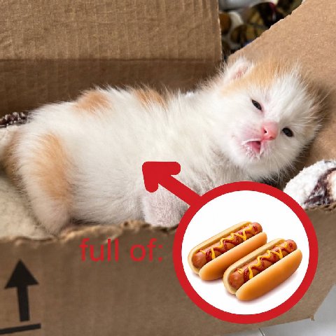 7 tel у у A, i