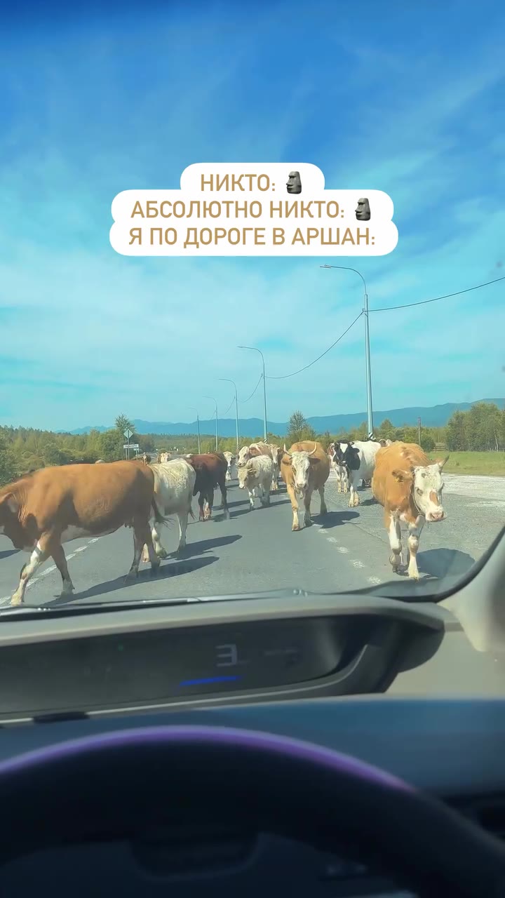 АБСОЛЮТНО НИКТО: Я ПО ДОРОГЕ В АРШАН: