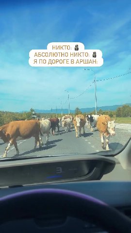 АБСОЛЮТНО НИКТО: Я ПО ДОРОГЕ В АРШАН: