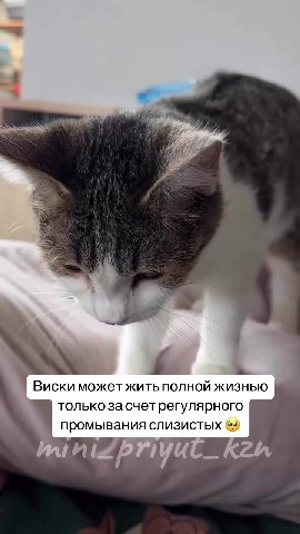 Она могла погибнуть там, в подвале❤️‍🩹
Могла ослепнуть. Не справиться с инфекцией. 
Но девочки вовремя смогли ей помочь.

Она жива. Полностью здоровой назвать не получится, но у неё есть возможность ж