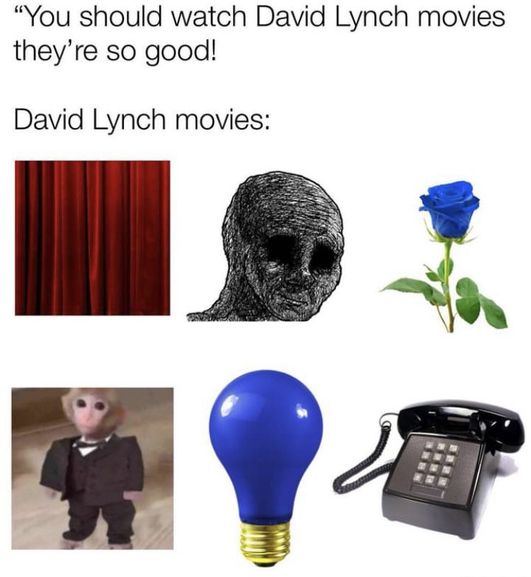 “You should watch David Lynch movies they’re so good! David Lynch movies: