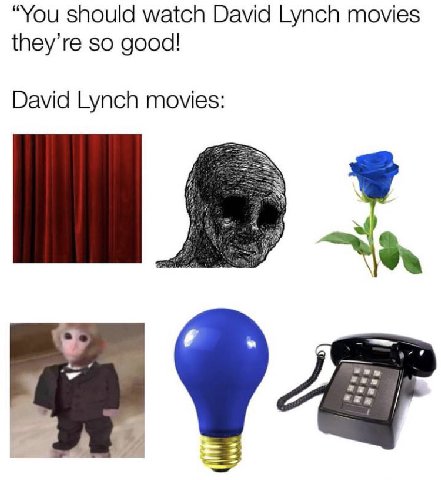 “You should watch David Lynch movies they’re so good! David Lynch movies: