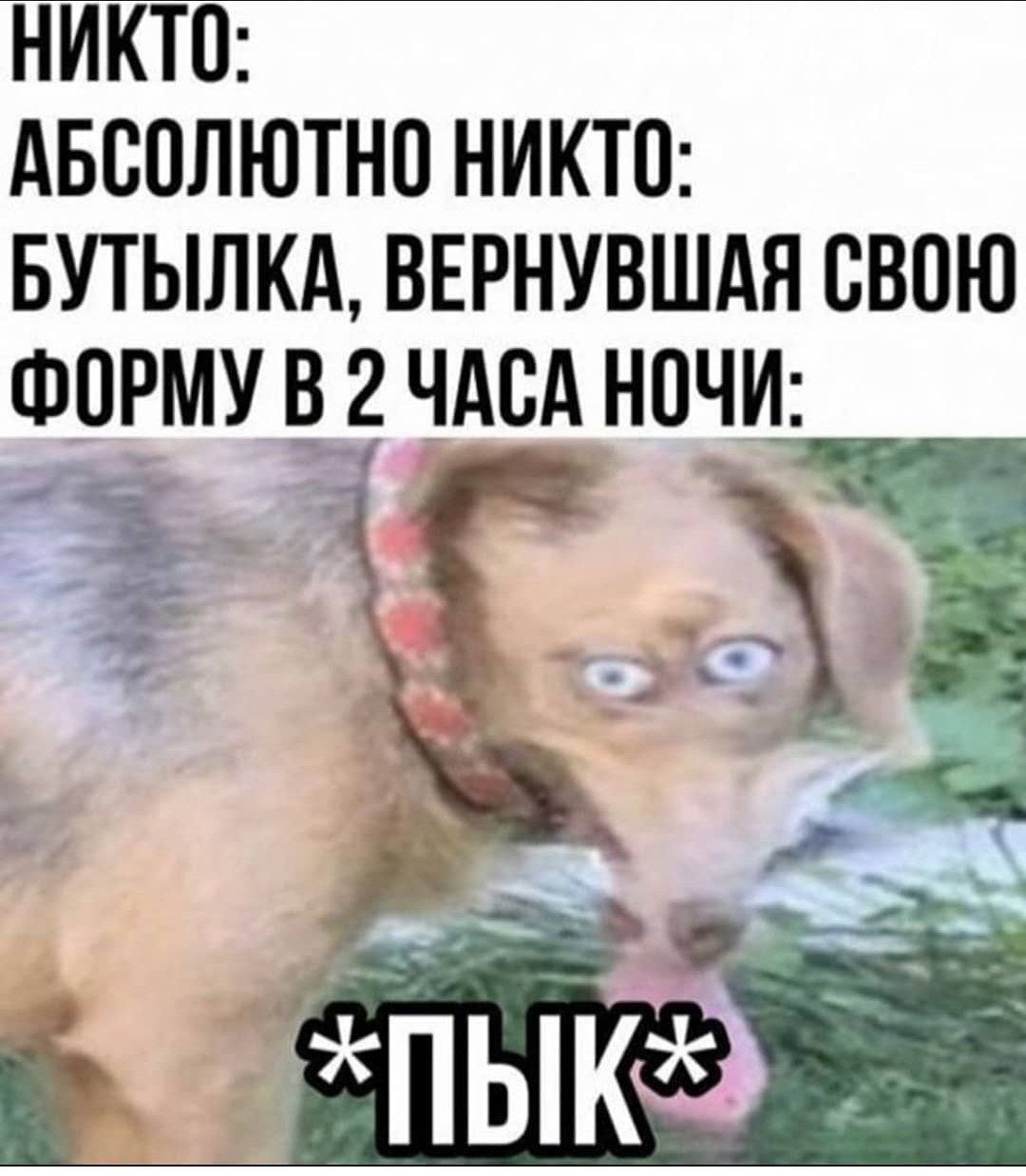 НИКТО: АБСОЛЮТНО НИКТО: БУТЫЛКА, ВЕРНУВШАЯ СВОЮ ФОРМУ 2 ЧАСА НОЧИ: