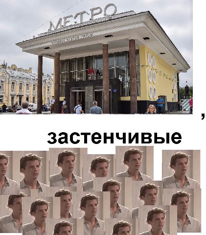 застенчивые