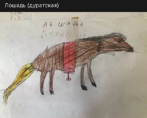 Лошадь (дуратская) к.