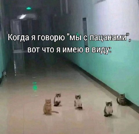 Когда я говорю "мы с пацанами вот что я имею в виду: