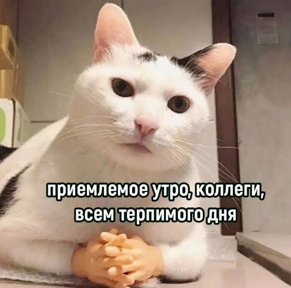 SWS приемлемое утро коллеги, всем терпимого Дня