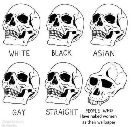 I MUTT) WHITE BLACK ASIAN (haa; GAY STRAIGHT PEOPLE мно Have naked women as their wallpaper