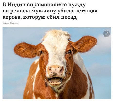 В Индии справляющего нужду на рельсы мужчину убила летящая корова, которую сбил поезд Алена Фомина 2