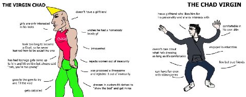 THE VIRGIN CHAD THE CHAD VIRGIN has a girlfriend who likes him for his personality and shares interests with irls are only interested a his looks comfortable in wishes he had a homebody his own skin l