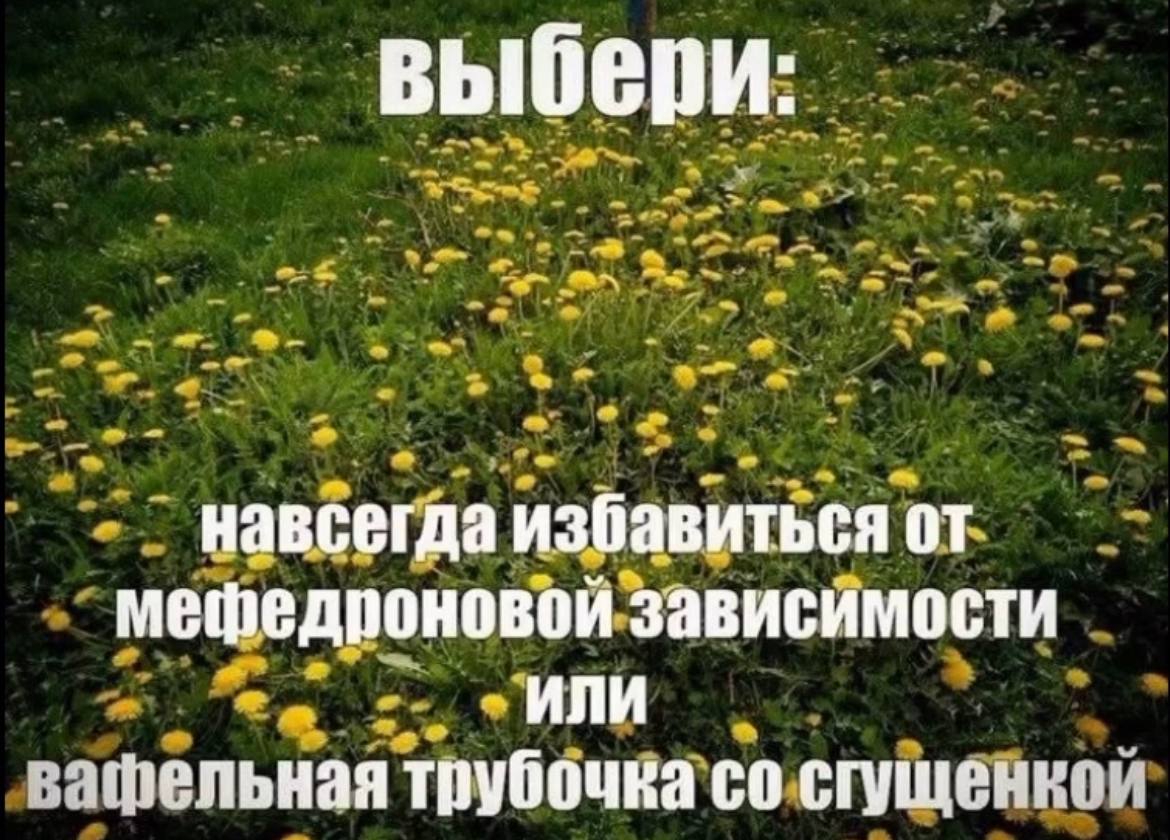 выбери: навсегда избавиться от мефедроновой зависимости ИЛИ трубочка