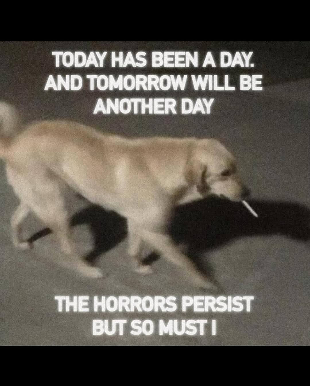 TODAY HAS BEEN А DAY. AND TOMORROW WILL BE ANOTHER DAY THE HORRORS PERSIST BUT SO MUST