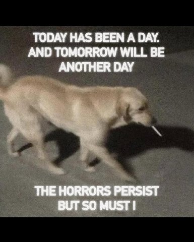 TODAY HAS BEEN А DAY. AND TOMORROW WILL BE ANOTHER DAY THE HORRORS PERSIST BUT SO MUST