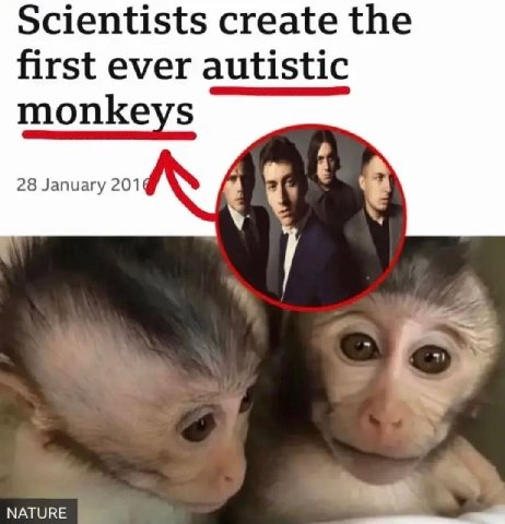 Scientists create the first ever autistic monkeys 28 January 201 NATURE