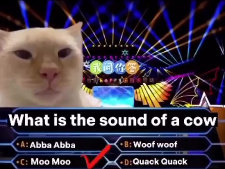 What is the sound of a сом Abba Abba Woof woof Moo Moo Quack Quack