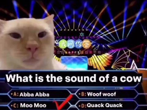 What is the sound of a сом Abba Abba Woof woof Moo Moo Quack Quack