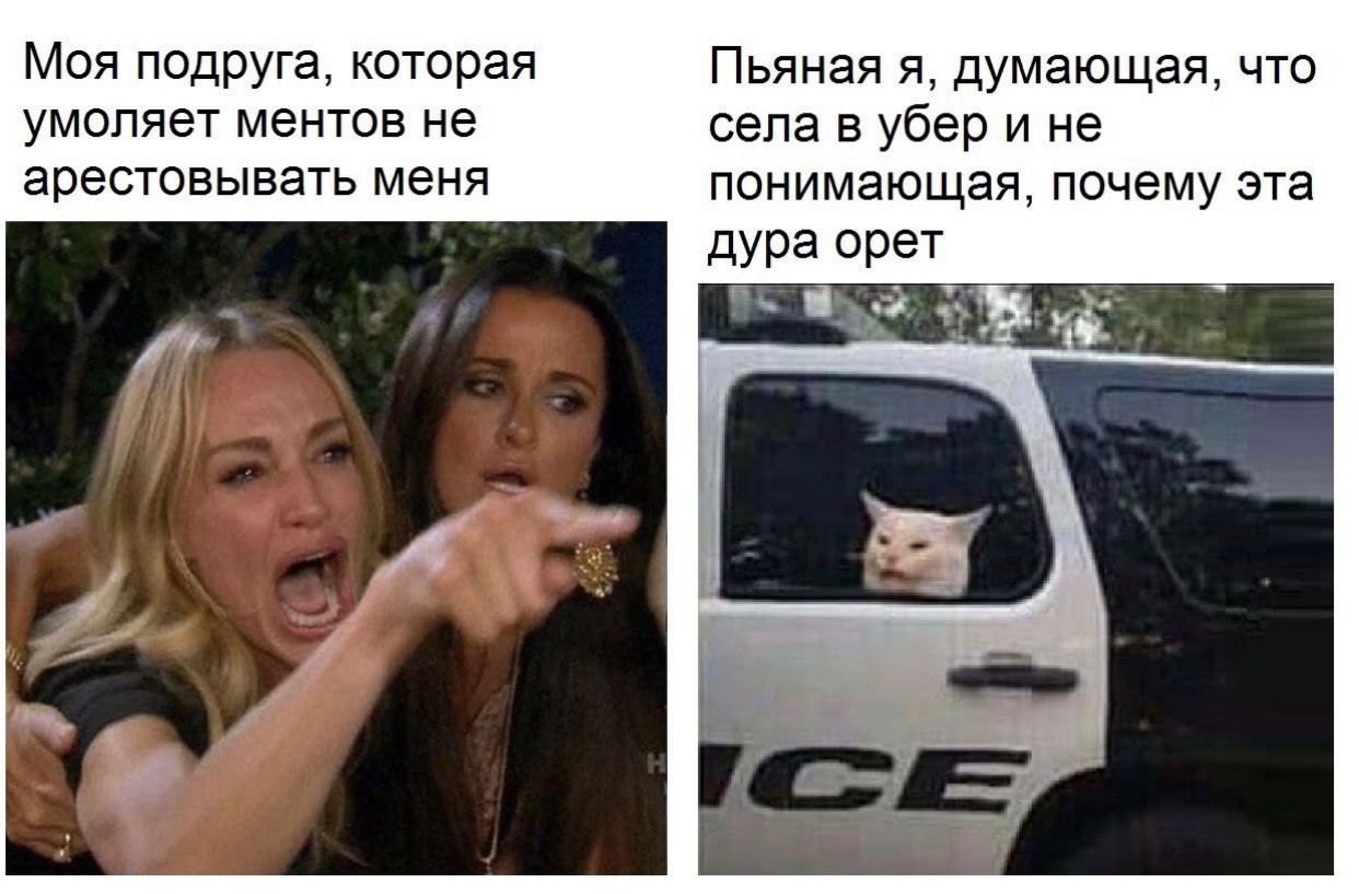 Моя подруга, которая Пьяная я, думающая, что умоляет ментов не села в убер и не арестовывать меня понимающая, почему эта дура орет A Vil я 4 Me