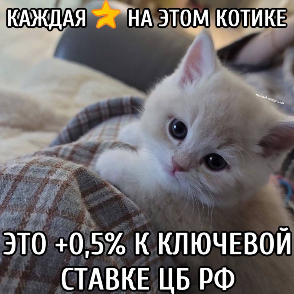 КАЖДАЯ `НА ЭТОМ КОТИКЕ ЭТО +0,5% К КЛЮЧЕВОЙ СТАВКЕ