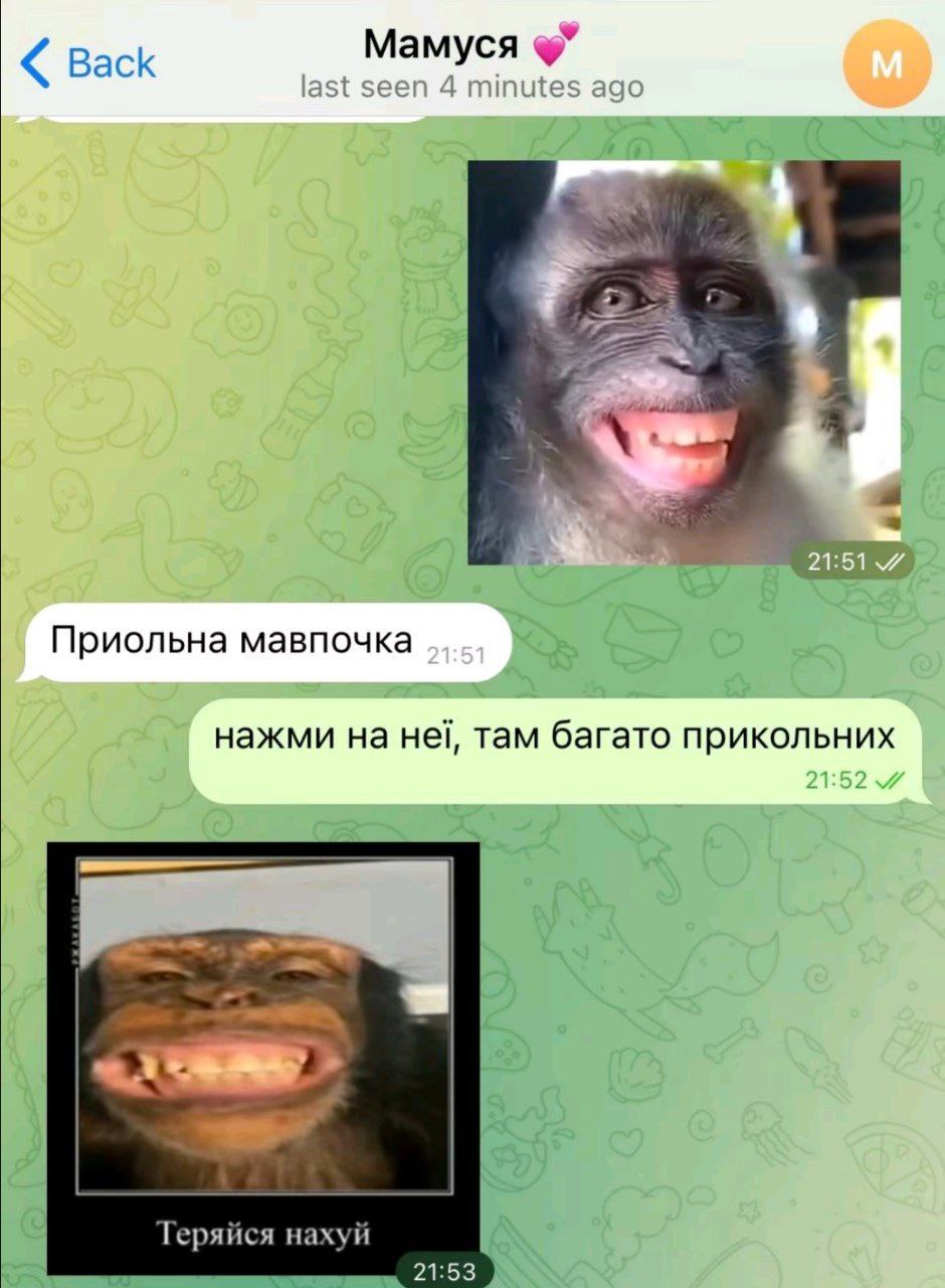 васк a Приольна мавпочка нажми на Hei, там багато прикольних Теряйся нахуй 21:53