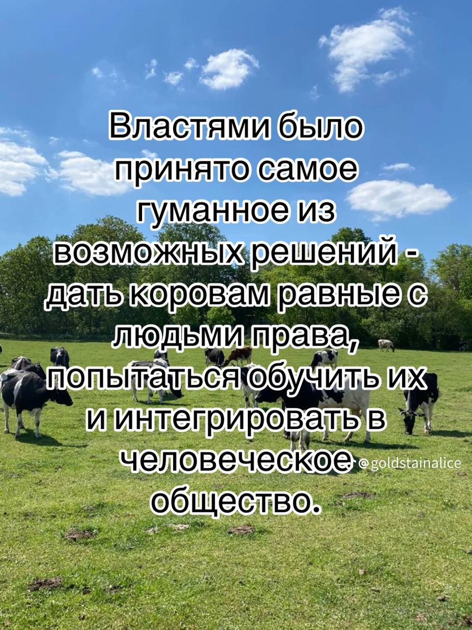 ешен I права bux И интегрировать человеческое общество:
