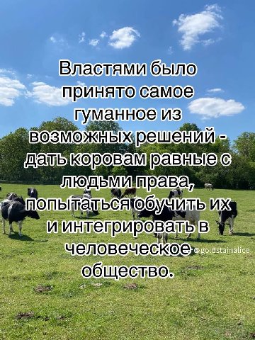 ешен I права bux И интегрировать человеческое общество: