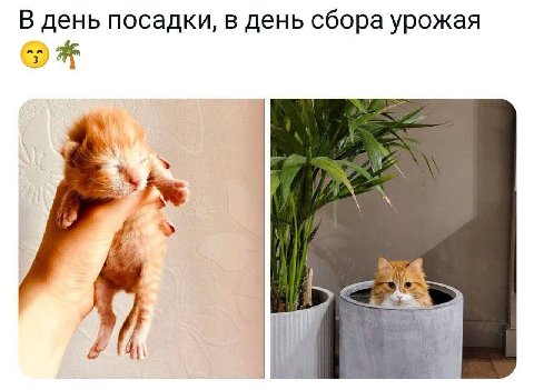 В день посадки, в день сбора урожая