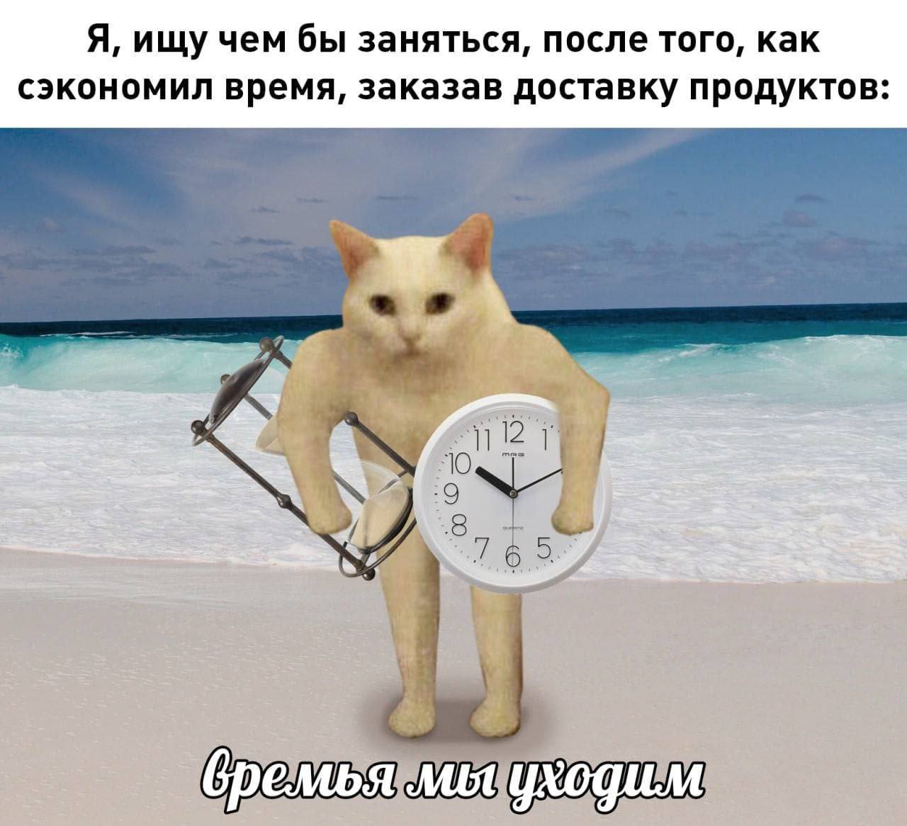 Я, ищу чем бы заняться, после того, как сэкономил время, заказав доставку продуктов: бремья Mbt уходим