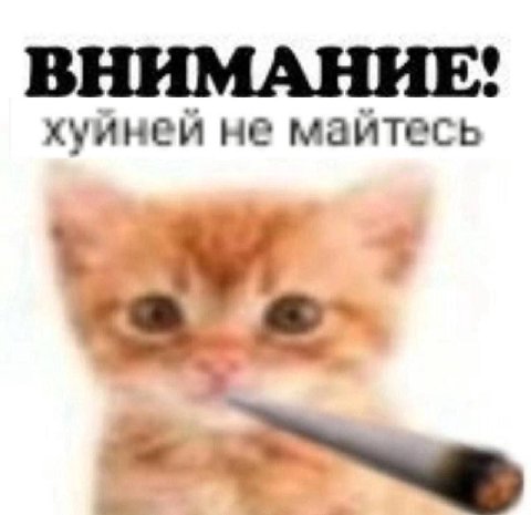 ВНИМАНИЕ! хуйней не майтесь