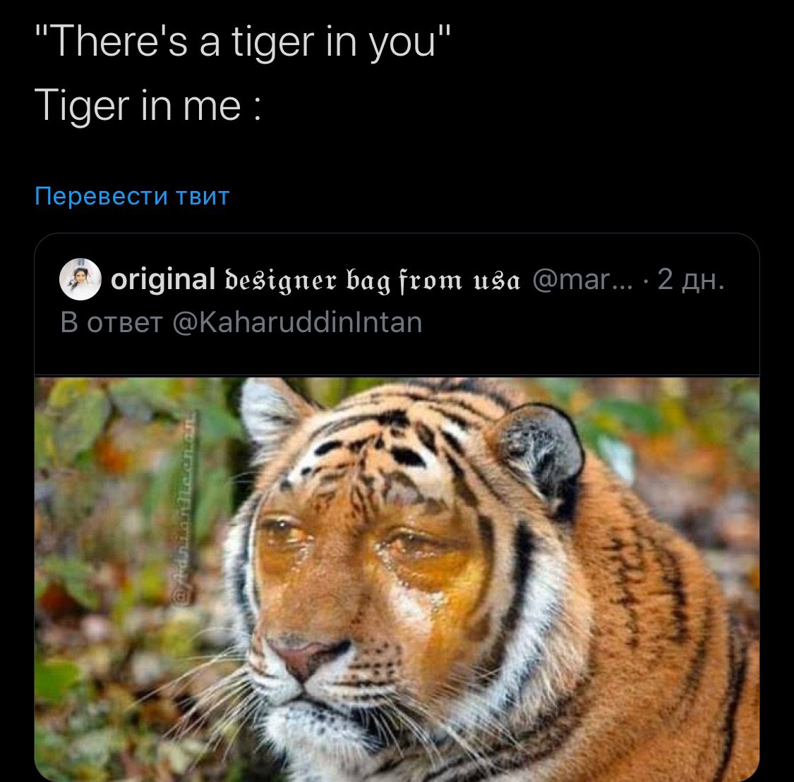 "There's a tiger in you" Tiger inme: Перевести твит original designer bag from иЗа @таг... 2 В ответ @KaharuddinIntan 4 №5 у aap 3 4, Я at
