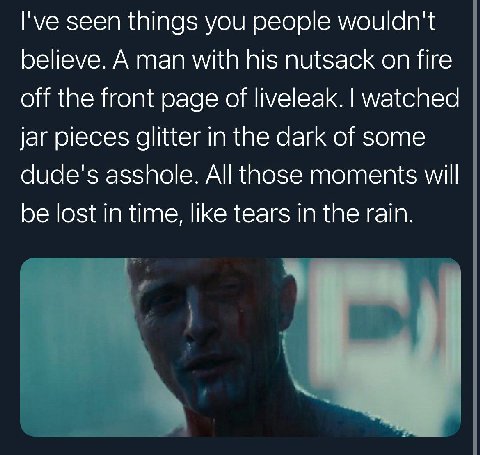 I've seen things you people wouldn't believe. A man with his nutsack on fire off the front page of liveleak. watched jar pieces glitter in the dark of some dude's asshole. All those moments will be lo