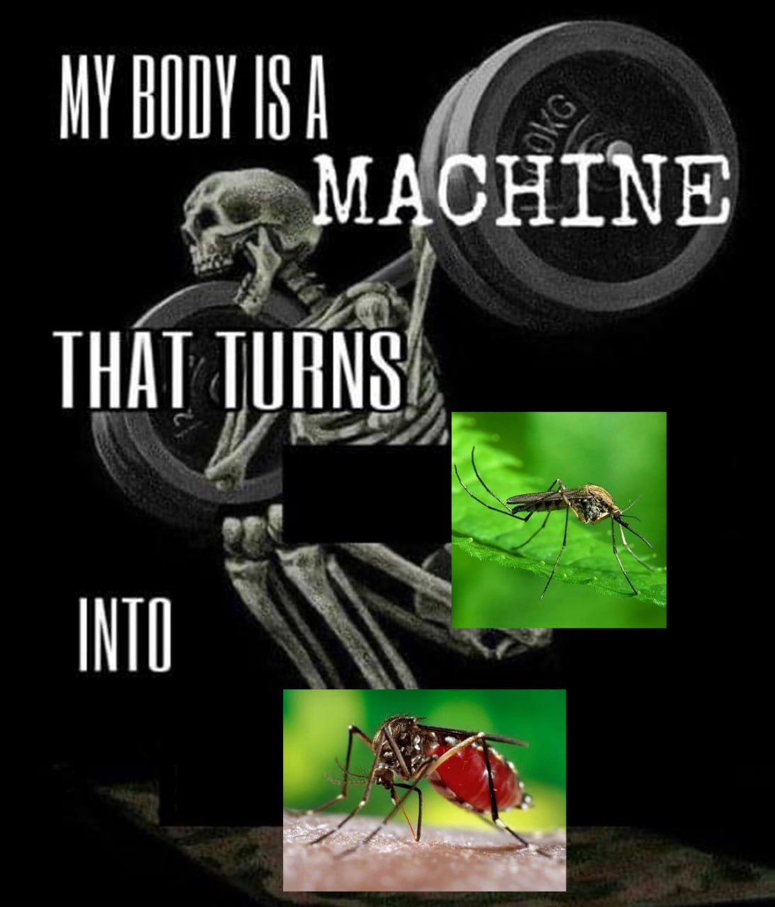 МАСНТМЕ THAT TURNS