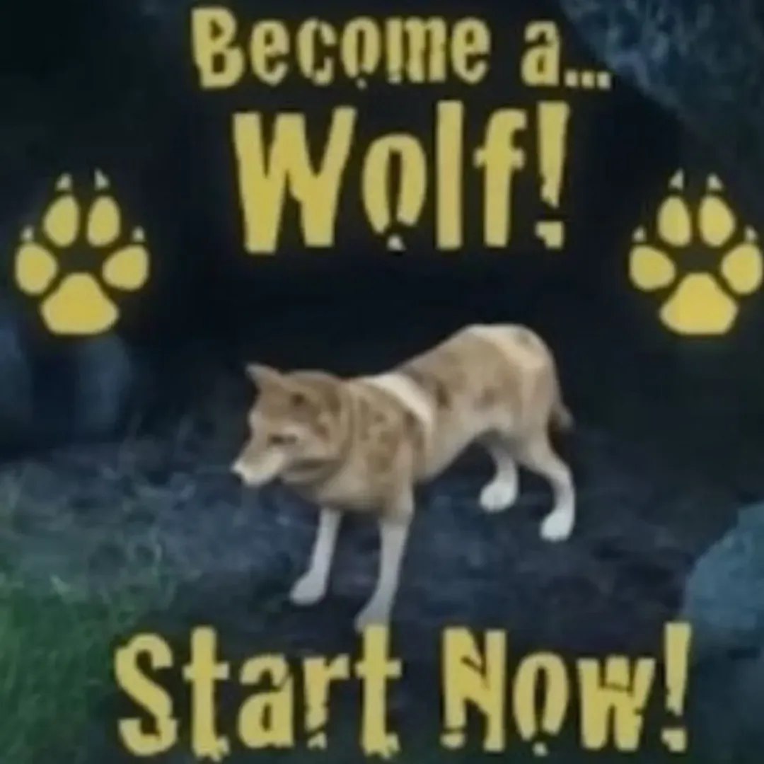 Веготе а start Now!