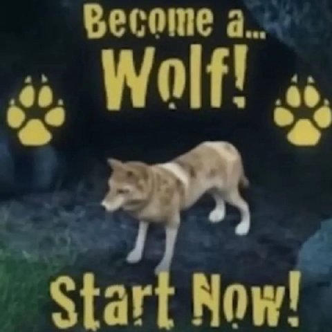 Веготе а start Now!