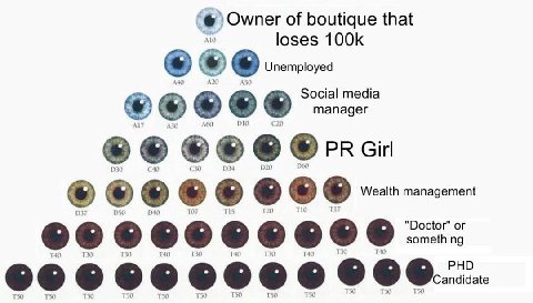 Owner of boutique that ALO loses Unemployed A20 A50 Social media manager Did DOO 250 "Doctor" something 140 РНО 06 ndidate 750 TSO