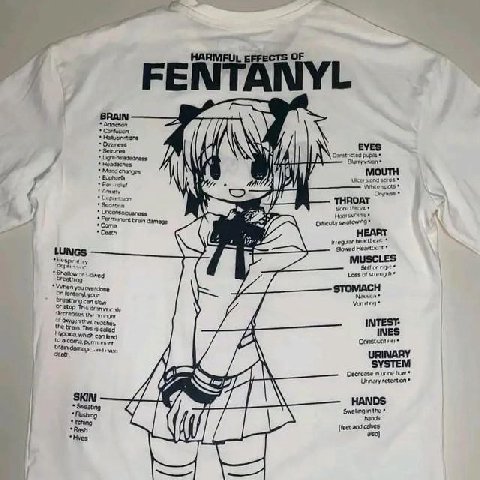 HARMFUL EFFECTS OF FENTANYL BRAIN Hotoretens Sevures pupia EVES i changes i MOUTH Ukers THROAT wort Gamage LUNGS MUSCLES or Loss of When you On your stow or stop Vor Thes Callies INTEST- whch can INES