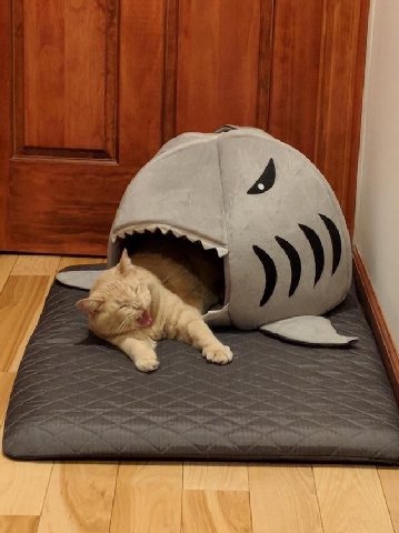 я vs понедельник