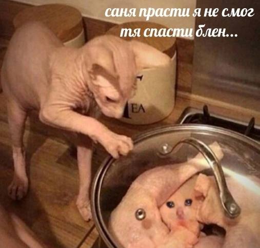 саня прасти я не смог спасти блен...